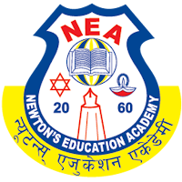 Newton School