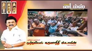 Nellai Times TV Screenshot 1