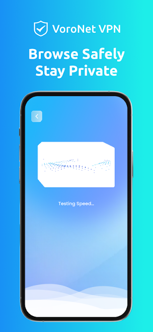 VoroNet VPN Screenshot 2