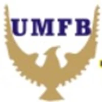 Unilorin MFB