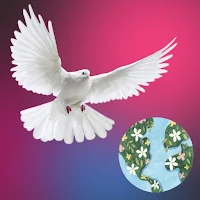 K love Radio CHRISTIAN