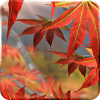 Autumn Tree Free Wallpaper
