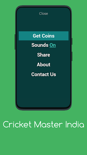 CRICKET MASTER INDIA Screenshot 2