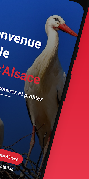 Pass'Alsace - Visit Alsace Screenshot 1