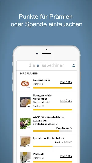 die Elisabethinen screenshot 2
