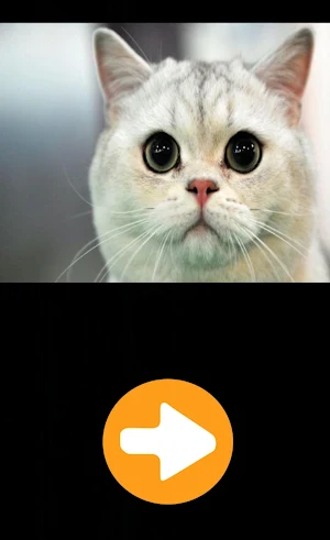 Animal Sounds Screenshot 2