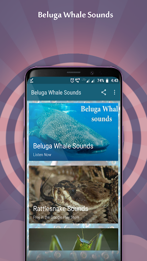 Beluga Whale Sounds Screenshot 0