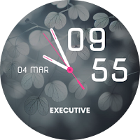 EXD145: Minimal Translucent