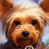 yorkie wallpaper