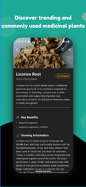 Medicinal Herbs Screenshot 3