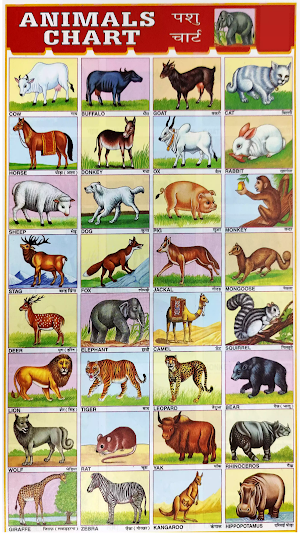 Educational Charts Book Screenshot 2
