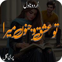 Tu Ishq O Junoon Mera  Novel