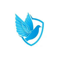Pigeon V2ray