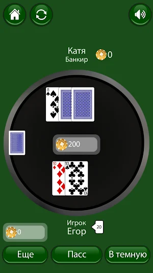21 очко (двадцать одно, карты) Screenshot 1