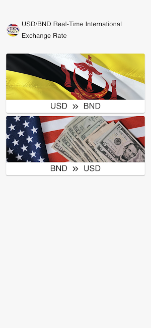 USD to BND Screenshot 0