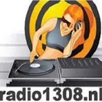 Radio 1308