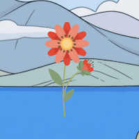 FlowerMatchGarden