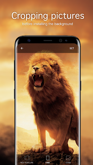 Lion Wallpapers 4K Screenshot 2