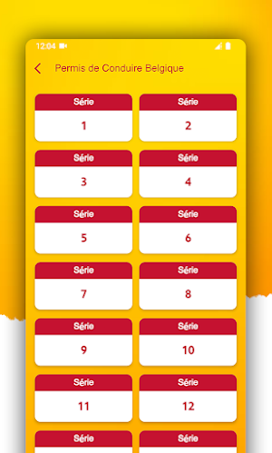 Permis de Conduire Belgique Screenshot 1