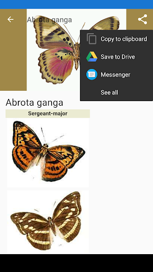Butterflies:Encyclopedia.Description,Photo,Offline Screenshot 2