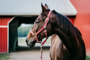 Horse notification sounds screenshot 5