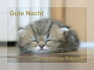 Gute Nacht Bilder und Sprüche für Whatsapp 🌃 Screenshot 3