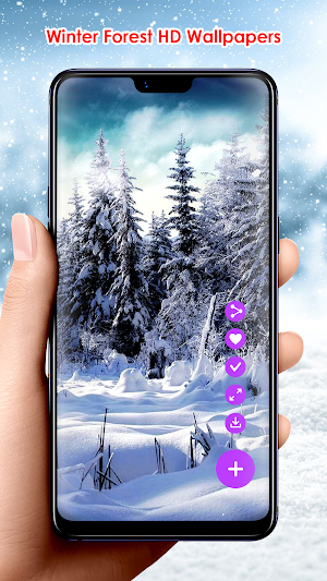 Winter Forest HD Wallpapers Screenshot 0