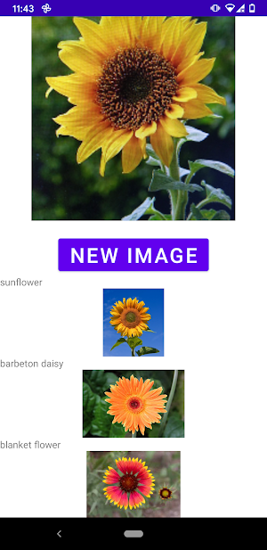 Flower identifier Screenshot 3