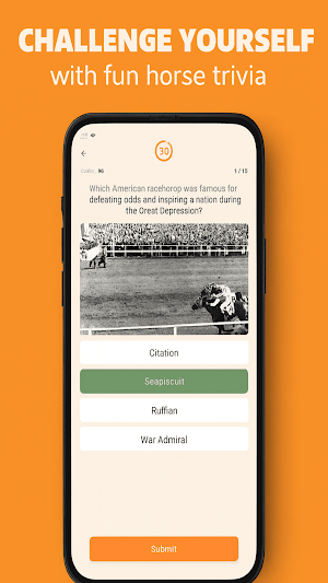 Equine Quizz Screenshot 2