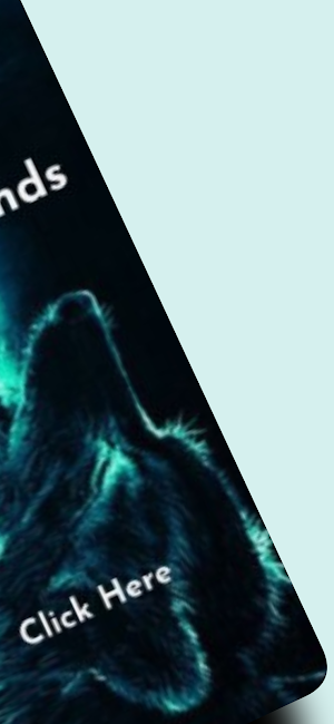 Wolf Backgrounds 4k/HD Screenshot 1