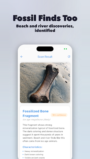 Bone Identifier: AI Scan Screenshot 1