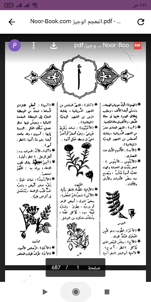 المعجم الوجيز Screenshot 0