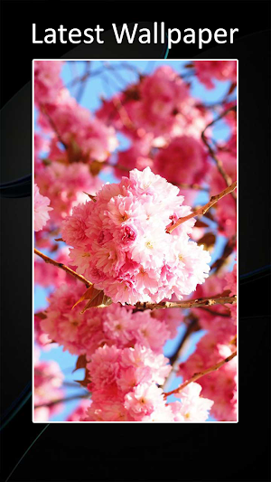 Theme for Huawei mate 30 Screenshot 2