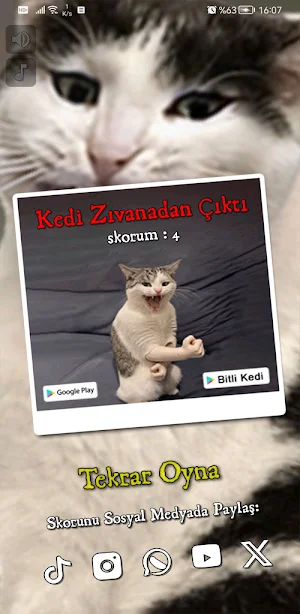 Bitli Kedi Screenshot 2