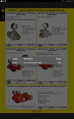 Ferrari srl Screenshot 2