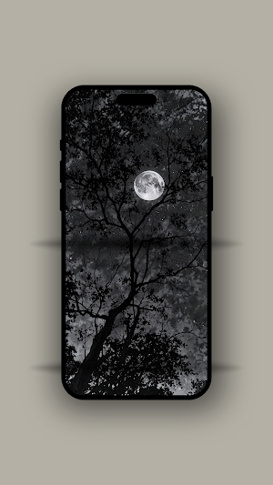 Black Aesthetic Wallpaper LIVE Screenshot 2