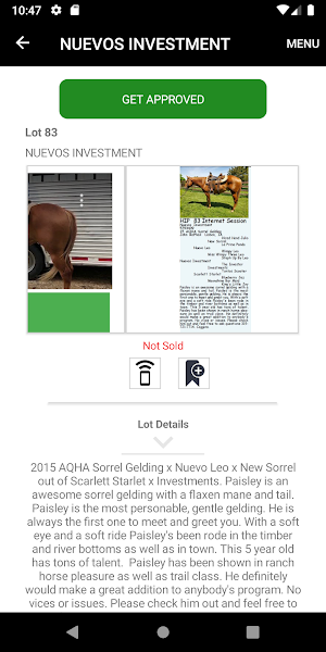 Northern Livestock Video Auction Screenshot 1