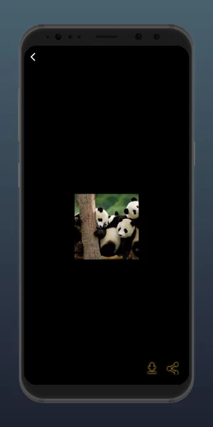 نغمات رنين اصوات حيوانات Screenshot 0
