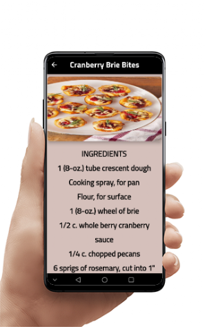 Appetizers recipes Screenshot 2