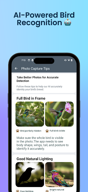 Bird Identifier : AI Scanner Screenshot 2