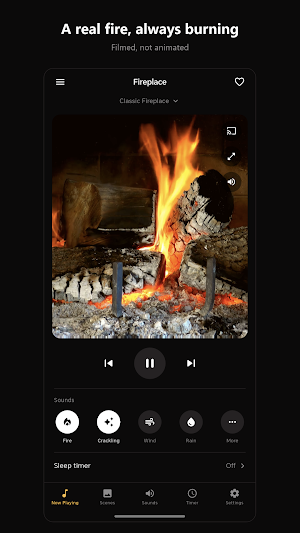Fireplace Screenshot 0