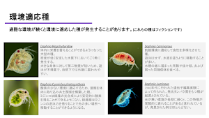 Daphnia Simulator：光センサーでミジンコ育成 Screenshot 2