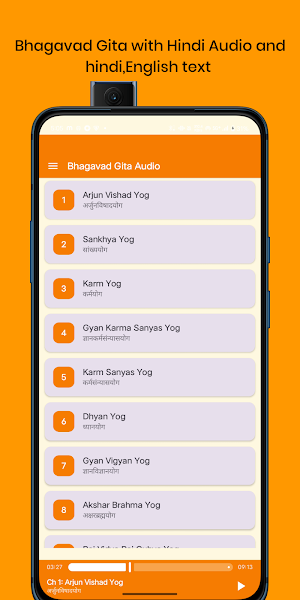 Bhagavad Gita Hindi Audio Screenshot 0