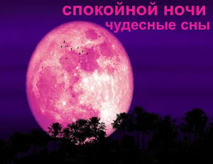 спокойной ночи Screenshot 1