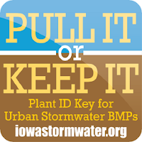 Iowa Plants Pull it or Keep it