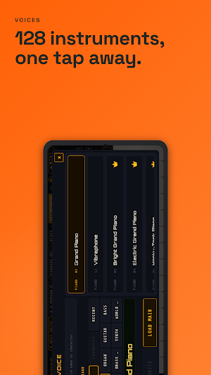 Arranger Pro Screenshot 1