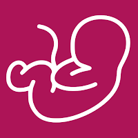 Pregnancy Due Date Calculator