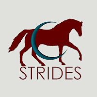 Strides