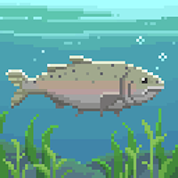 Fish Trails: Marine Adventure
