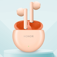 Honor Earbuds X5 Guide